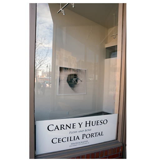 Photo from the portfolio Carne y Hueso by Cecilia Portal