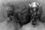 Dreams & Myths 