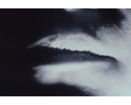 Photo from the portfolio Carne y Hueso by Cecilia Portal