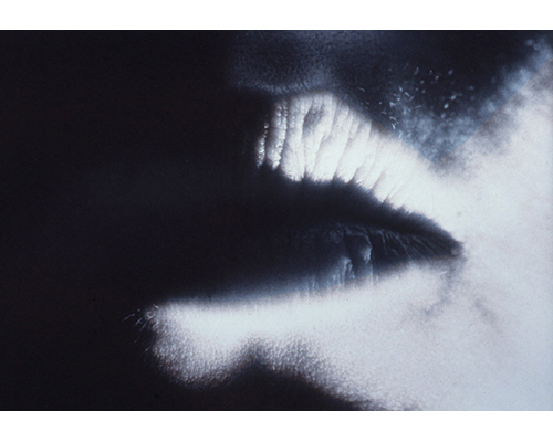 Photo from the portfolio Carne y Hueso by Cecilia Portal