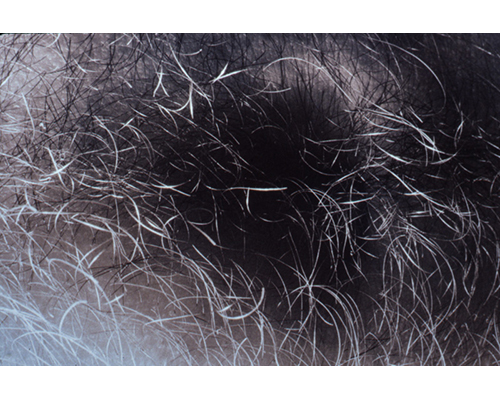Photo from the portfolio Carne y Hueso by Cecilia Portal