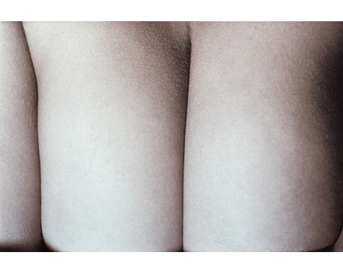 Photo from the portfolio Carne y Hueso by Cecilia Portal