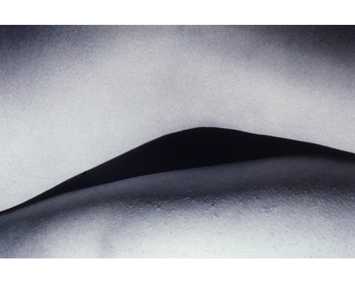 Photo from the portfolio Carne y Hueso by Cecilia Portal