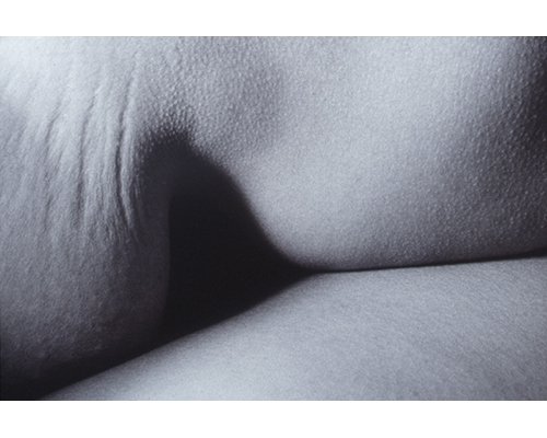 Photo from the portfolio Carne y Hueso by Cecilia Portal