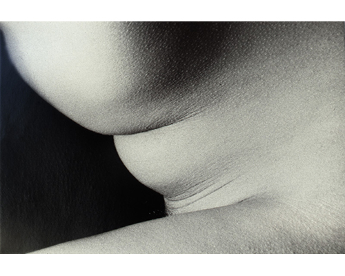 Photo from the portfolio Carne y Hueso by Cecilia Portal