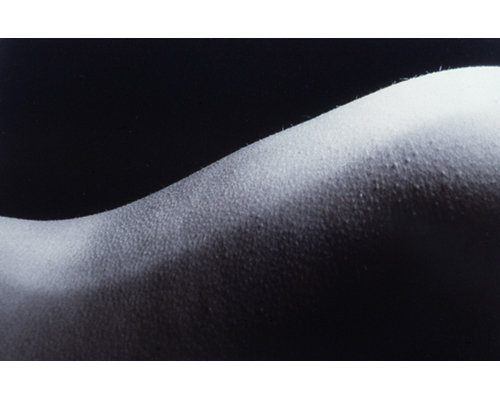 Photo from the portfolio Carne y Hueso by Cecilia Portal