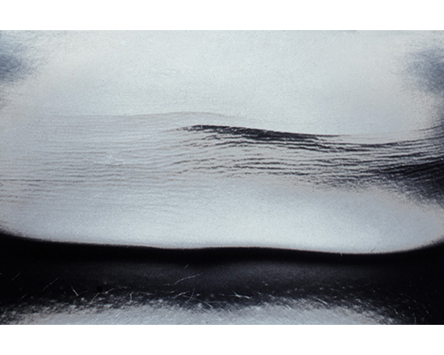 Photo from the portfolio Carne y Hueso by Cecilia Portal