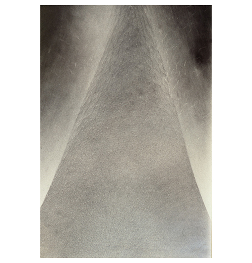 Photo from the portfolio Carne y Hueso by Cecilia Portal