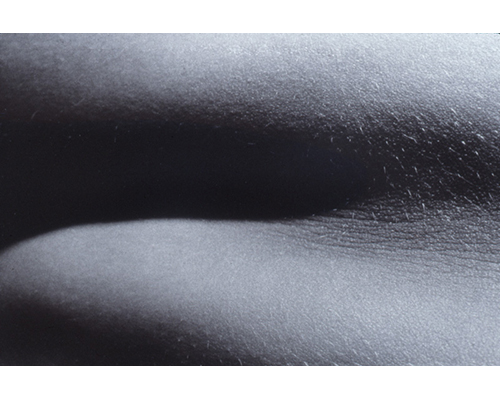Photo from the portfolio Carne y Hueso by Cecilia Portal