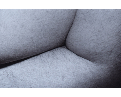 Photo from the portfolio Carne y Hueso by Cecilia Portal