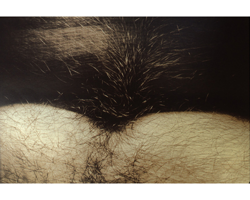 Photo from the portfolio Carne y Hueso by Cecilia Portal