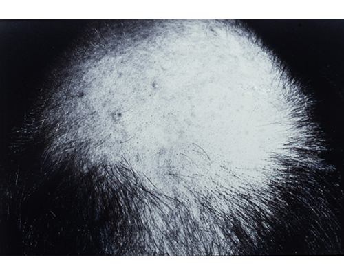 Photo from the portfolio Carne y Hueso by Cecilia Portal