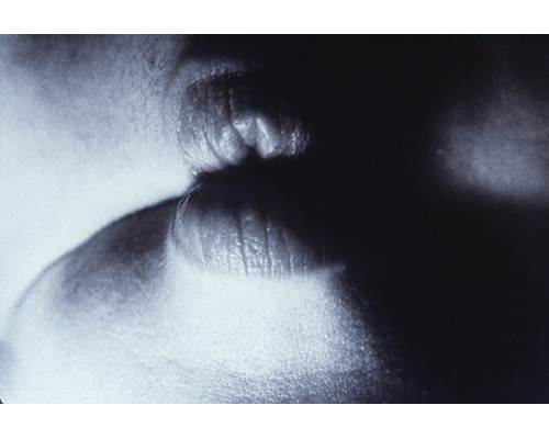 Photo from the portfolio Carne y Hueso by Cecilia Portal