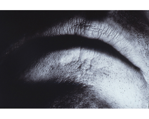 Photo from the portfolio Carne y Hueso by Cecilia Portal