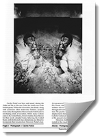 Preview of the press article
