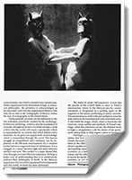 Preview of the press article