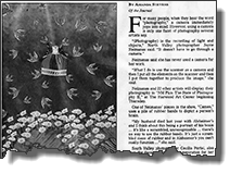 Preview of the press article